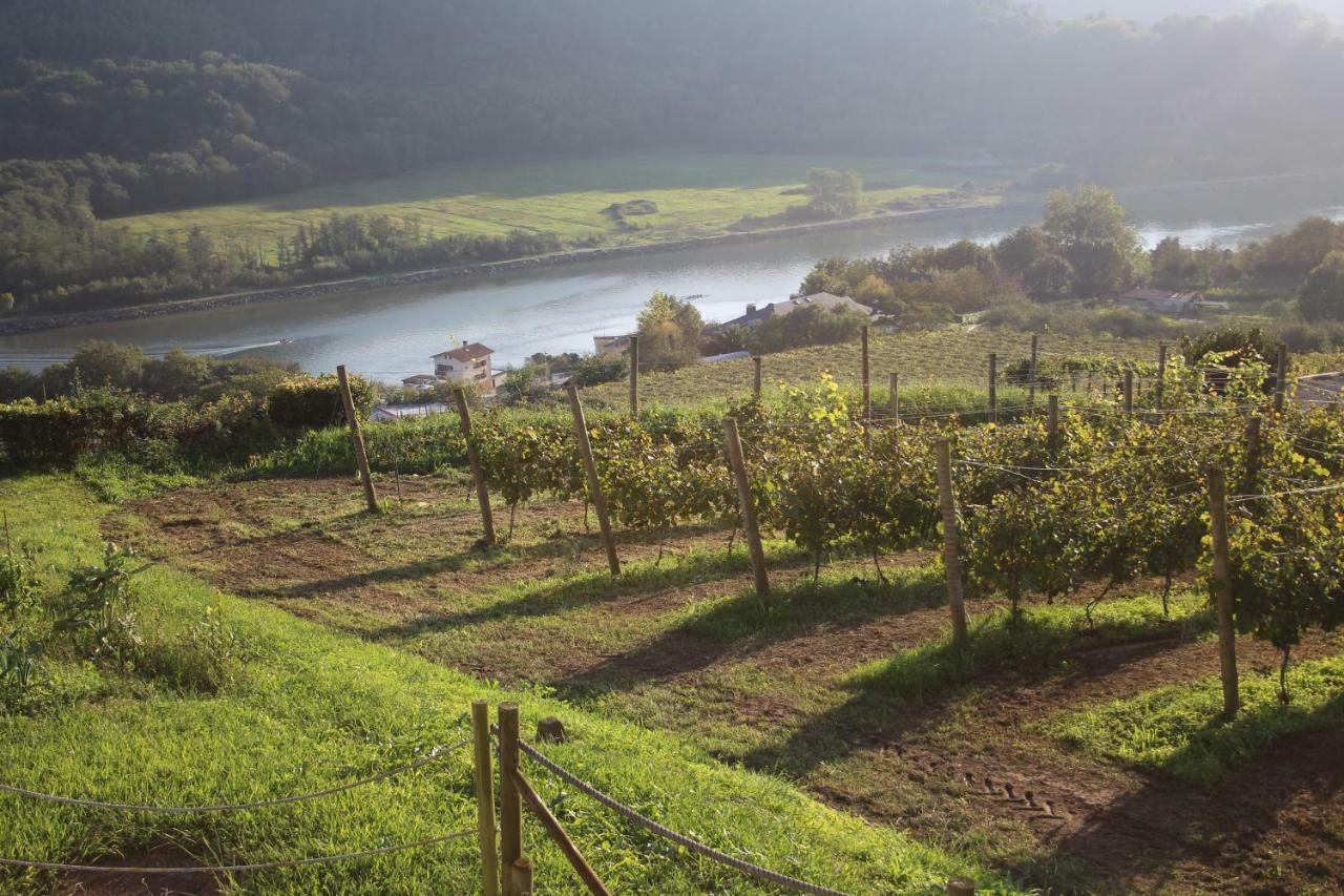 오리오 Casa Rural Erretzabal Txiki 게스트하우스 외부 사진